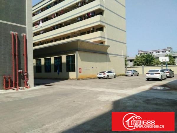 镇隆万里工业区一楼带装修标准厂房2500平招租