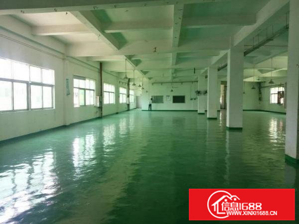 全新地坪漆厂房，只要12.8元