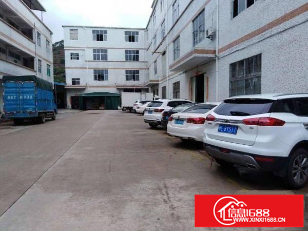 秋长白石三楼950原房东无公摊厂房出租13