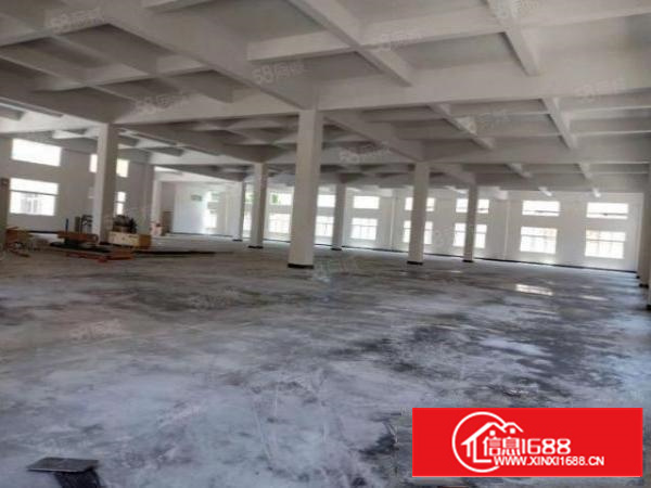 东莞石碣原房东全新独门独院厂房5600平方出租