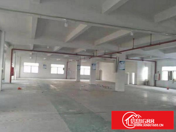 平湖附近楼上1700平主带装修出租可分租