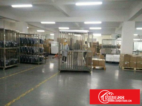 惠阳新墟原房东楼上无公摊带装修3200平出租800平起分租