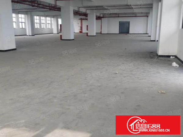 大朗新马莲全新标准工业高新厂房层高8米工业用地可办环评可分租