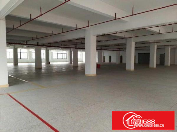 清溪三中厂房3300平米，带消防喷淋