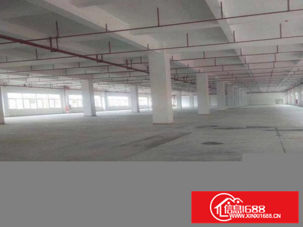 惠阳新墟红本面积厂房600平，800平，1200平起可选分租