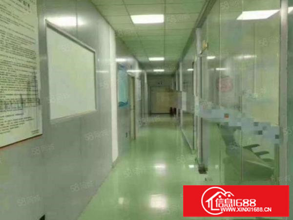 福永原房东厂房680平全新豪华装修空地超大独门独院