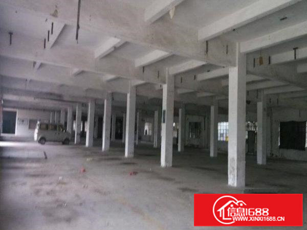 清溪镇（浮岗一楼）800平方厂房出租