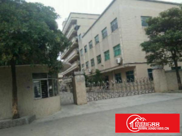 万江石美工业区二楼1300平方厂房带现成办公室装修出租