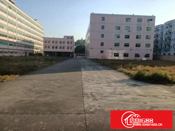 公寓楼包租，周边人气旺