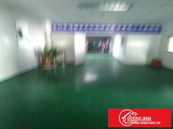 坪山坪环工业城大型独院600平整层起招商