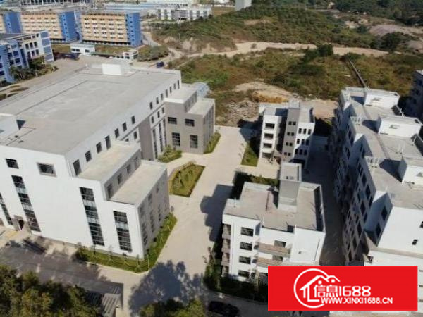 厂房招租石岩料坑新村