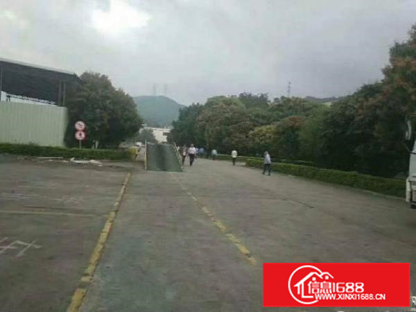 惠阳新圩原房东钢构独院厂房招租。