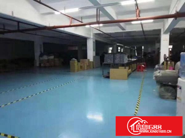 龙岗区龙城新出二楼450平米带装修厂房出租