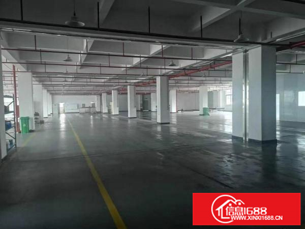 三栋惠南科技园二楼3100平米全新装修