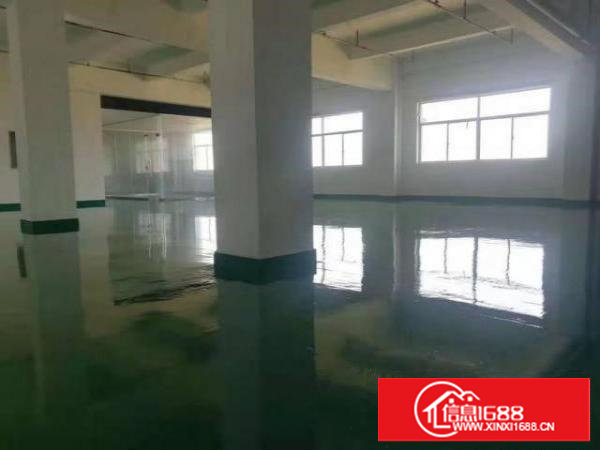 塘厦莲湖两个小面积组装加工厂房出租300和600平方