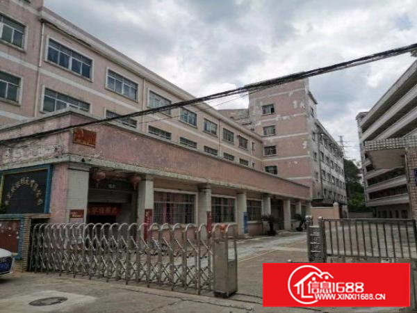 谢岗标准厂房出租，面积可分租，单层可分一半