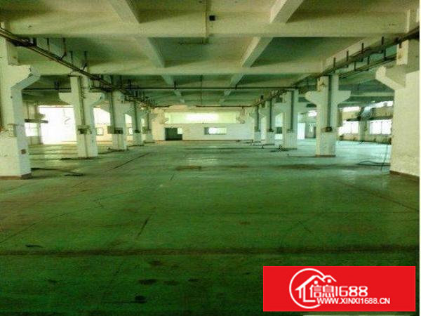出租龙岗区横岗标准整层厂房一楼1380平方