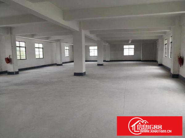 原房东全新独幢厂房出租