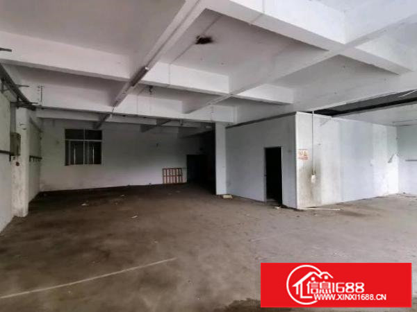 松岗碧头新出高标准工业厂房高速路口旁约500平方米