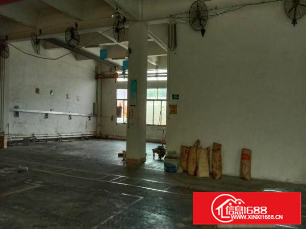 长安沙头沙区原房东一楼厂房900平加宿舍一层500