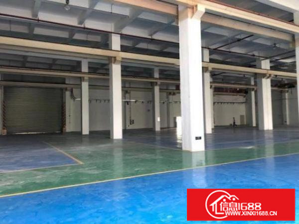 龙岗坪地新出一楼1000平标准厂房出租高6米现成行车