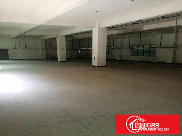 惠阳新墟新出村委独院标准厂房