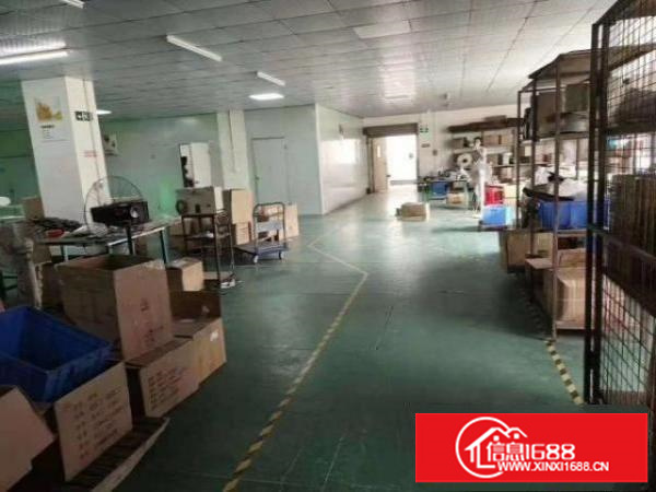 石岩新出上排工业区1900平方带装修厂房招租