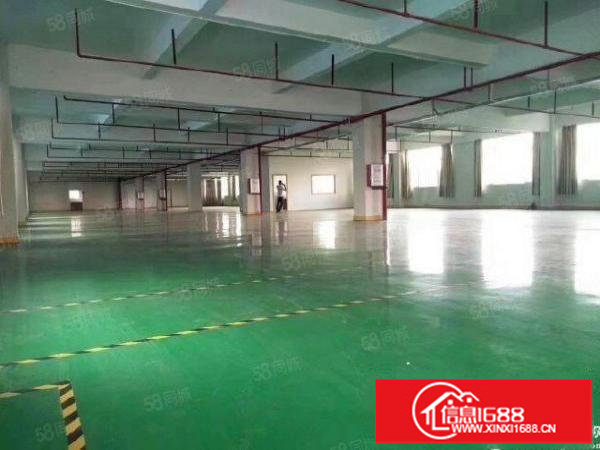 龙岗南联新出原房东独门独院厂房4000平出租.靠近南联地铁站