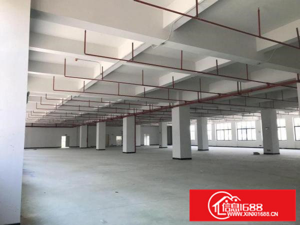 厂房整租分租常平镇桥沥村万布路高新科技园全新带绿化