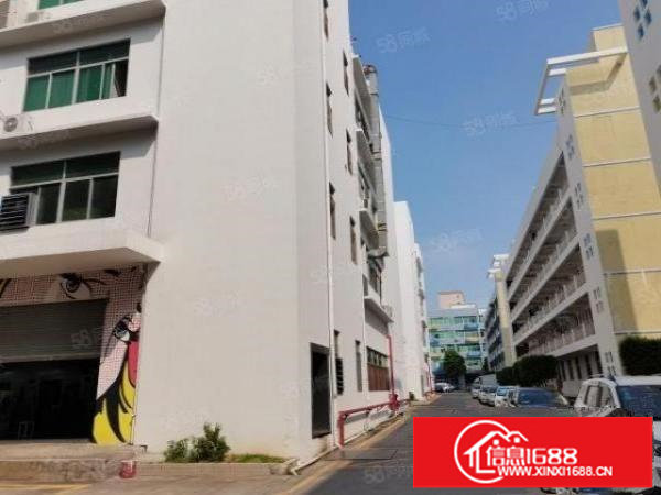 观澜章阁原房东红本厂房1800平带精装修，水电齐全，价格25