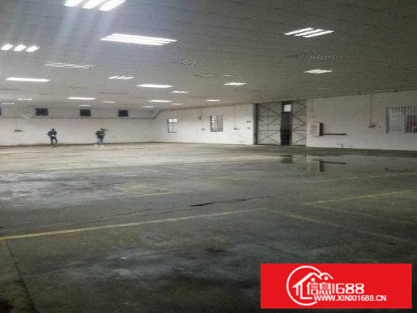 龙岗一楼700平方层高6米精修厂房整租