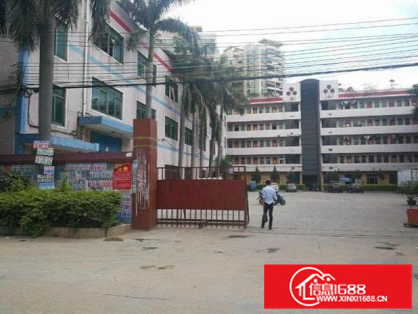 惠阳新圩原房东标准厂房一楼1400平方厂房出租