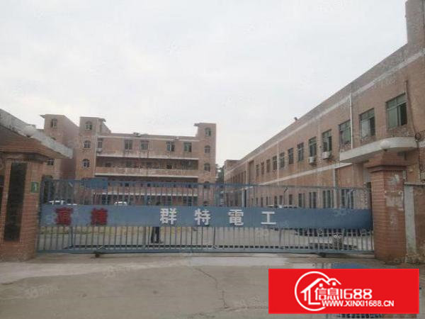 三中村主路边原房东一楼1500平带豪华装修