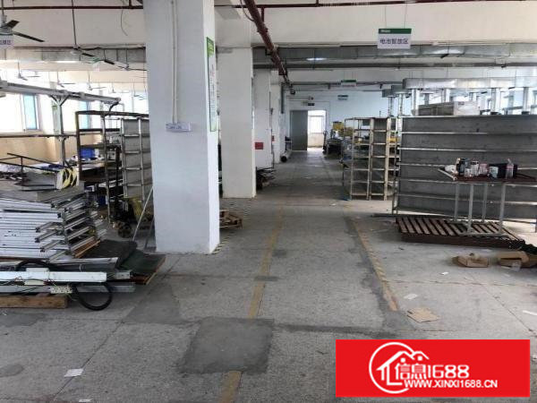 坑梓高速口标准厂房楼上整层1450平方带装修可分租