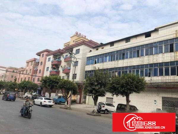 大路边厂房出租，可做铺面，前面16米路