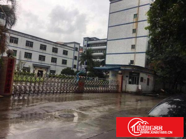 丹竹头地铁口二楼1000平带装修电商办公厂房出租