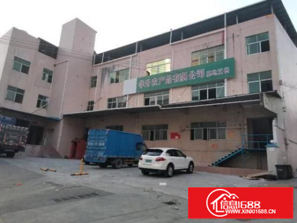 龙岗海吉星批发市场附近厂房仓库招租