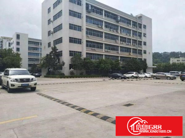 高新科技园分租300平