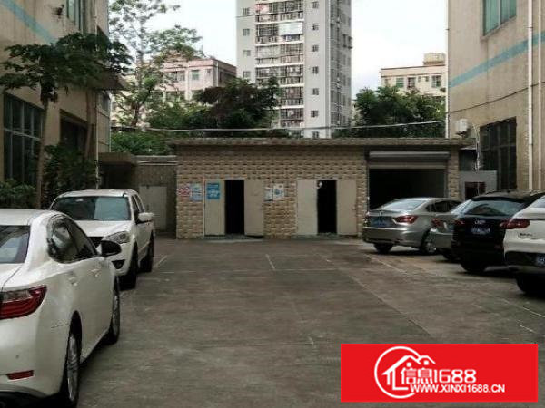 一楼正规厂房原房东招租