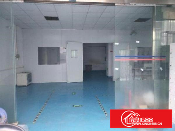 沙井新桥新出一楼精装修厂房550平