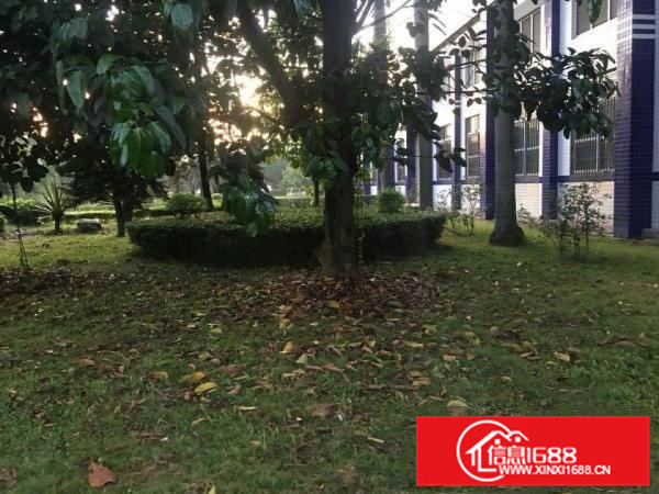 龙华镇上市公司砖墙到顶花园厂房32000平米