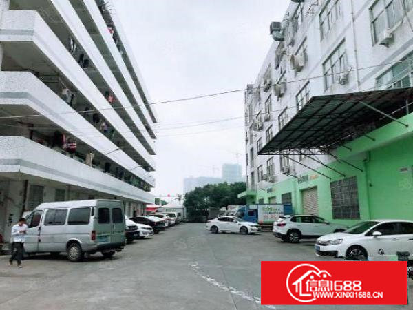 凤岗东深二线旁标准一楼厂房5000平方出租空地大近高速