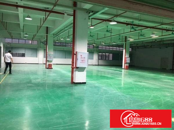 高埗花园式独门独院厂房整租优先