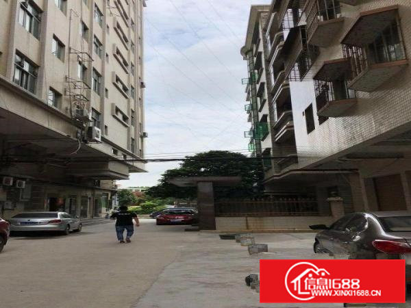 虎门大宁原房东整层厂房300平米出租。