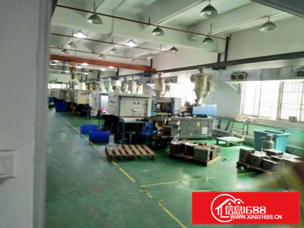 横沥镇模具城附近500平方一楼出租