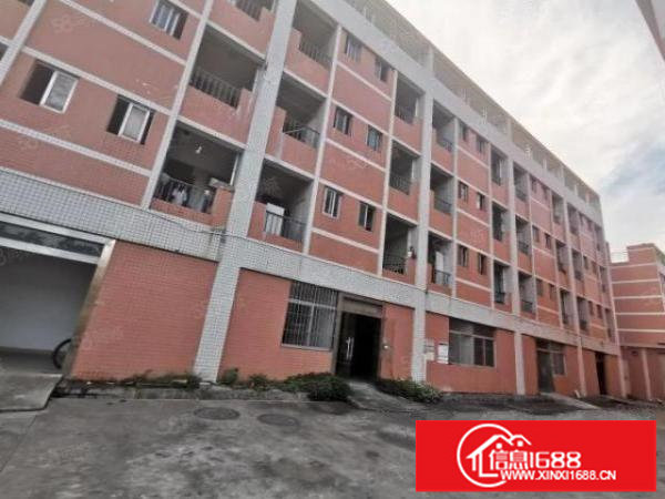 出租！原房东平湖靠近布吉独门独院1到3层6000平带装修出租