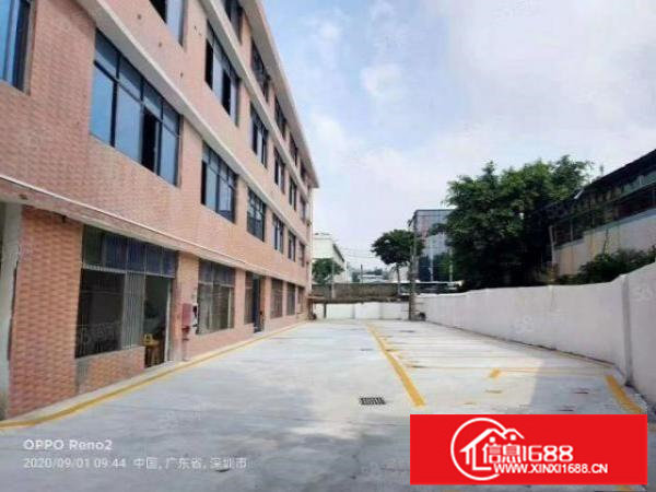 坂田新出6000平独院厂房出租