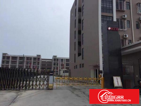 大工业区分租500平800平1200平厂房