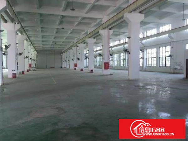 配电大好进车，容桂一楼2560方精装厂房，层高8米！