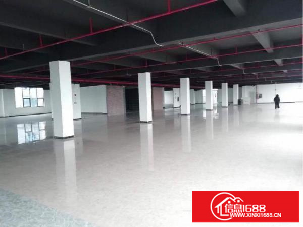 丹竹头2130平方仓库出租